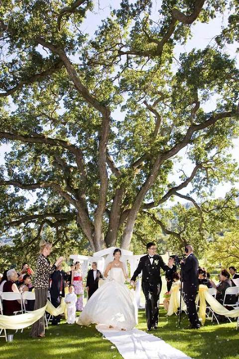 castlewood country club wedding photographer