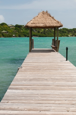 Caribbean Wedding